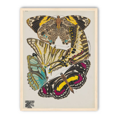 Butterflies among blank paper