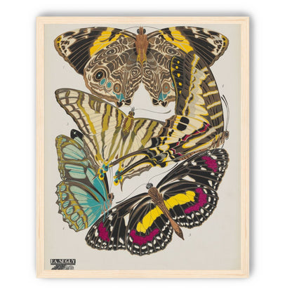 Butterflies among blank paper