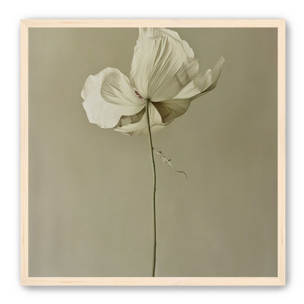 Ivory bloom in gray air
