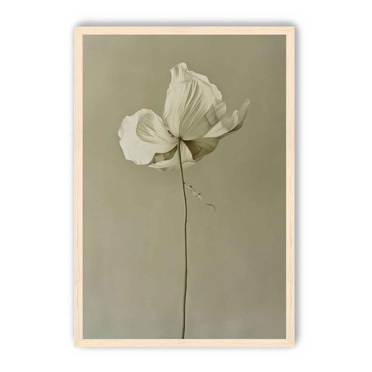 Ivory bloom in gray air