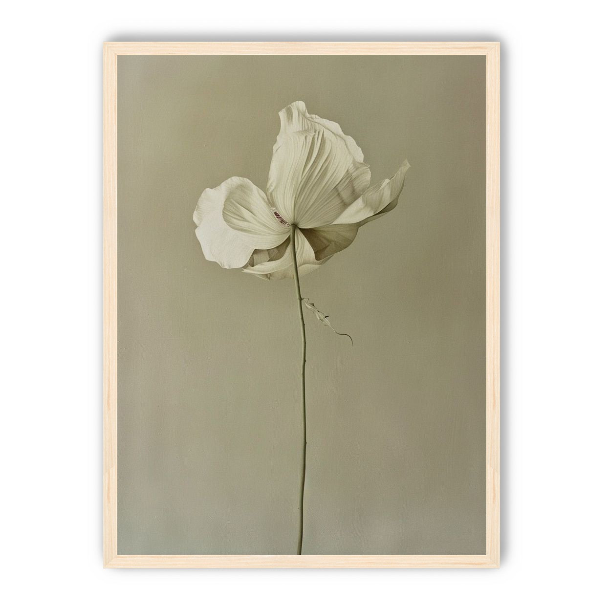 Ivory bloom in gray air