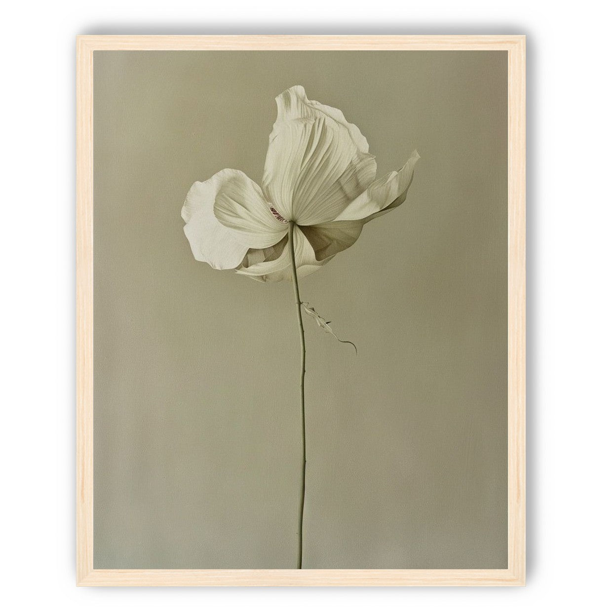 Ivory bloom in gray air