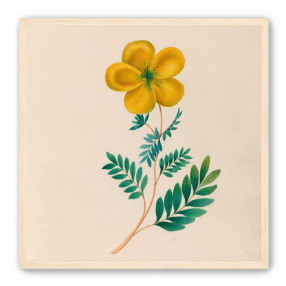 Yellow flower on pale paper