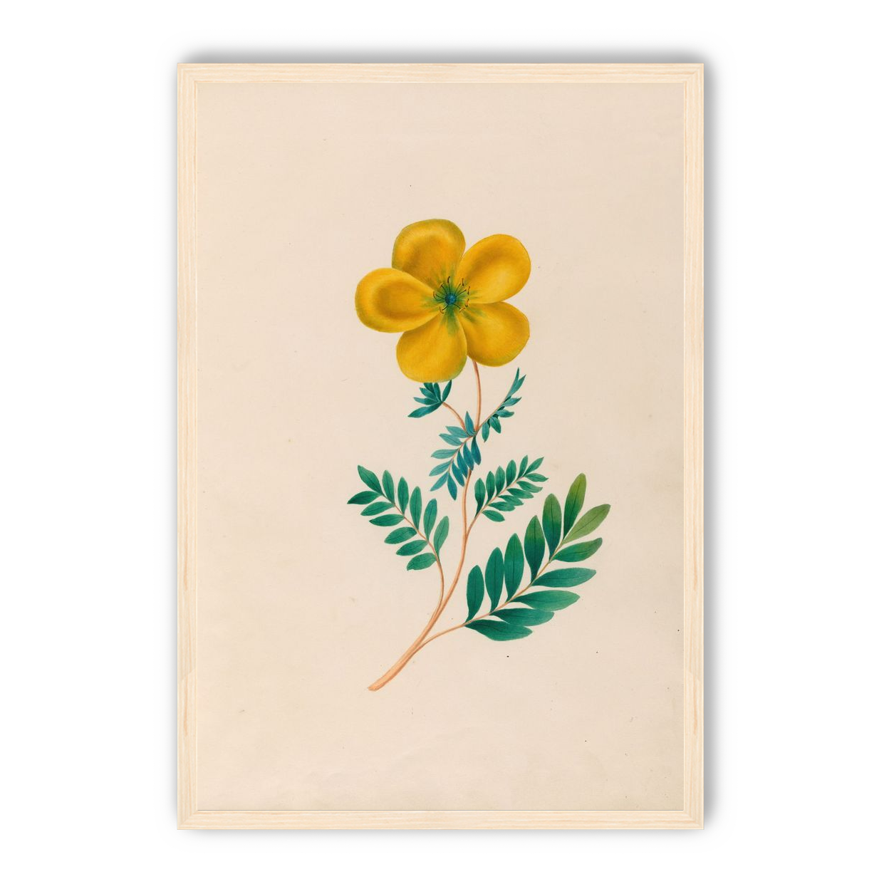 Yellow flower on pale paper