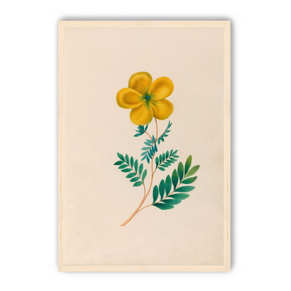 Yellow flower on pale paper