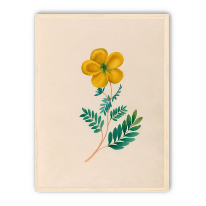 Yellow flower on pale paper