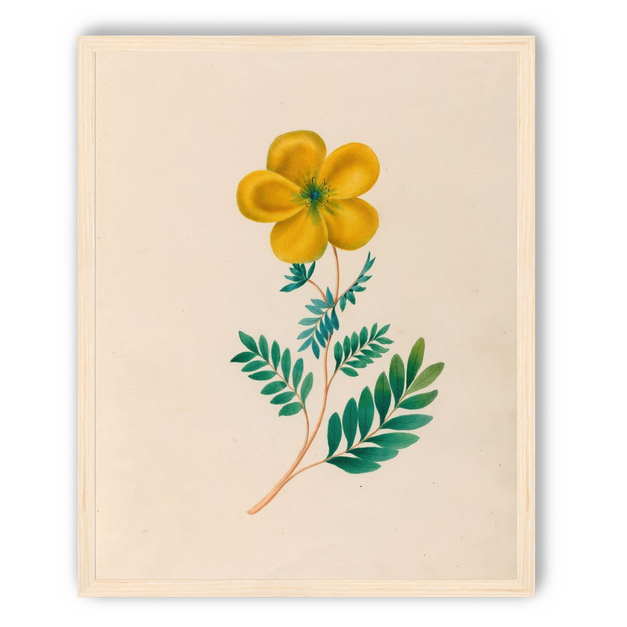 Yellow flower on pale paper