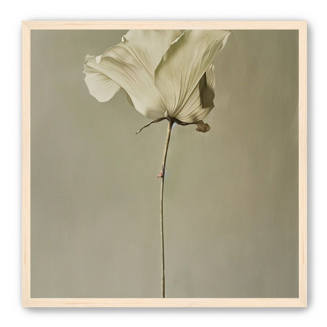 One flower and its hush