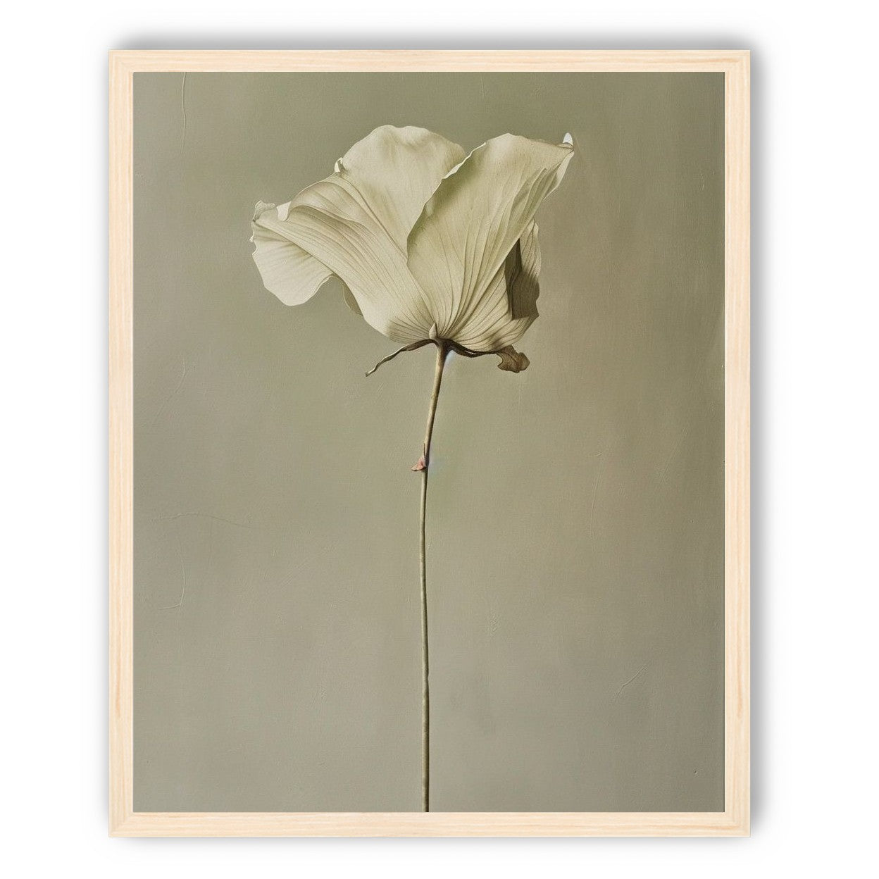 One flower and its hush