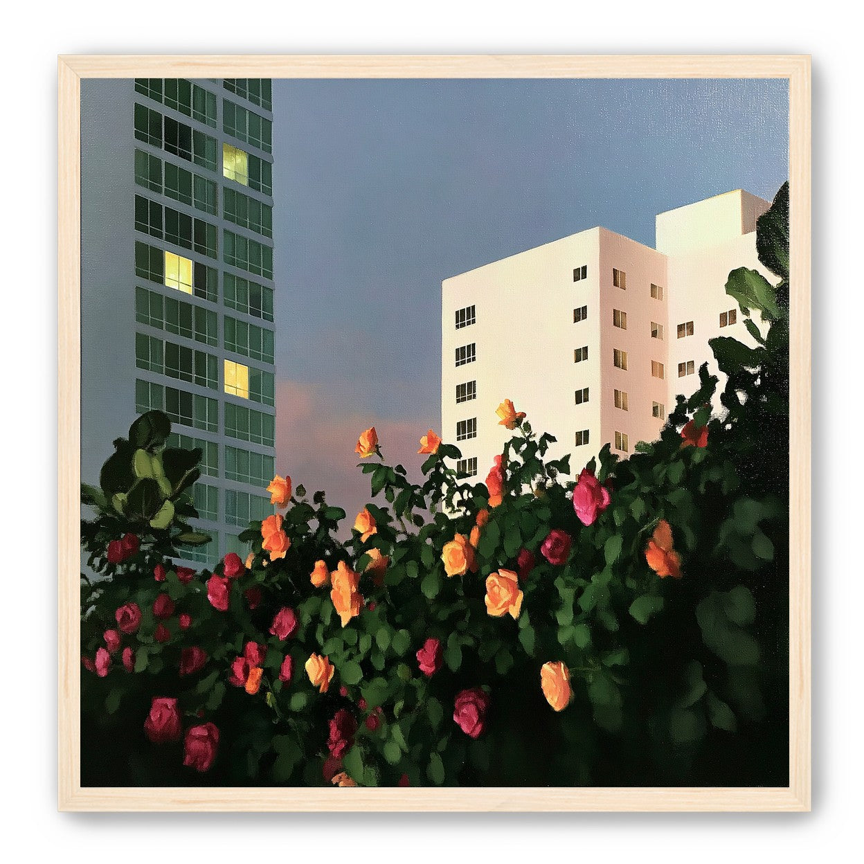 Roses below lit windows