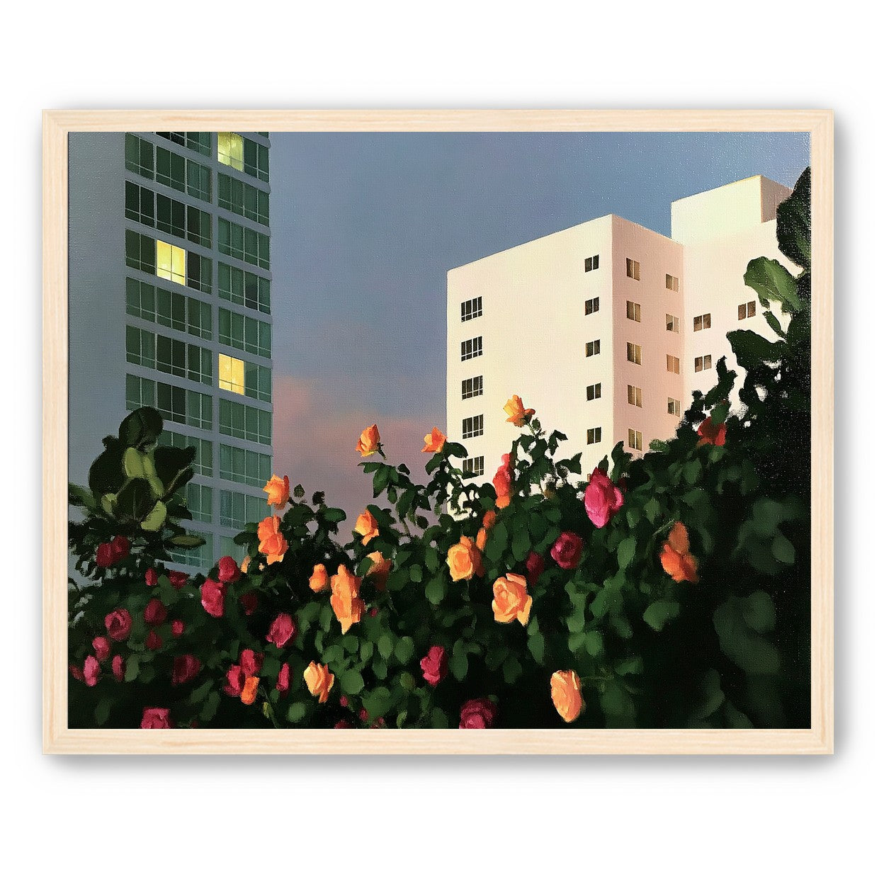 Roses below lit windows