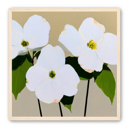 Three white flowers above purple