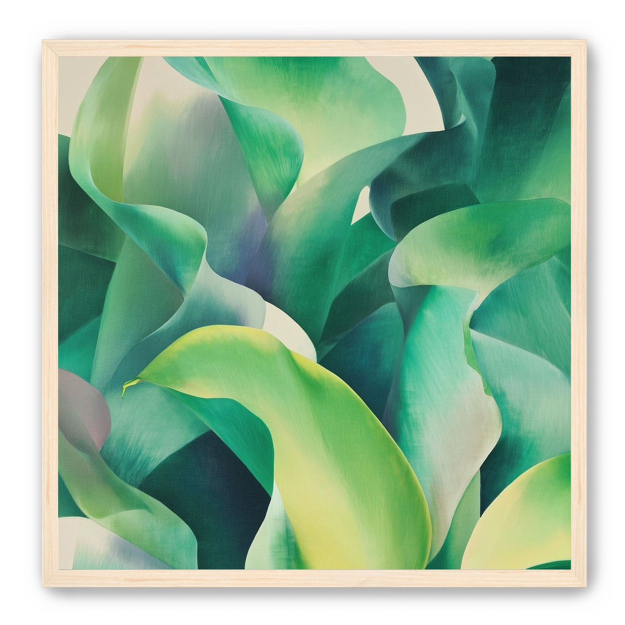 Calla lilies crowd the light