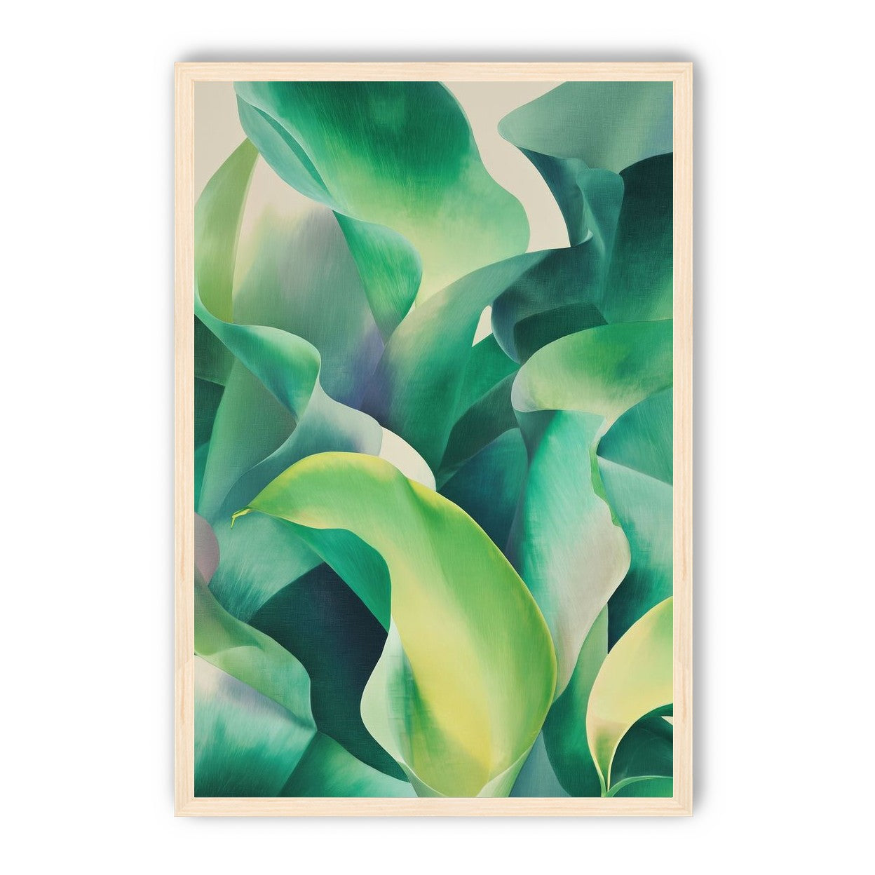 Calla lilies crowd the light