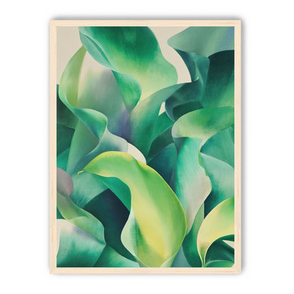 Calla lilies crowd the light