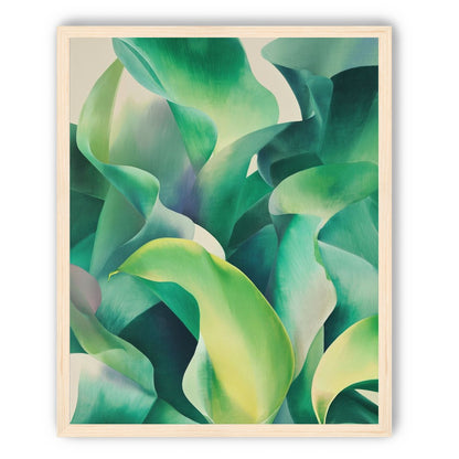 Calla lilies crowd the light