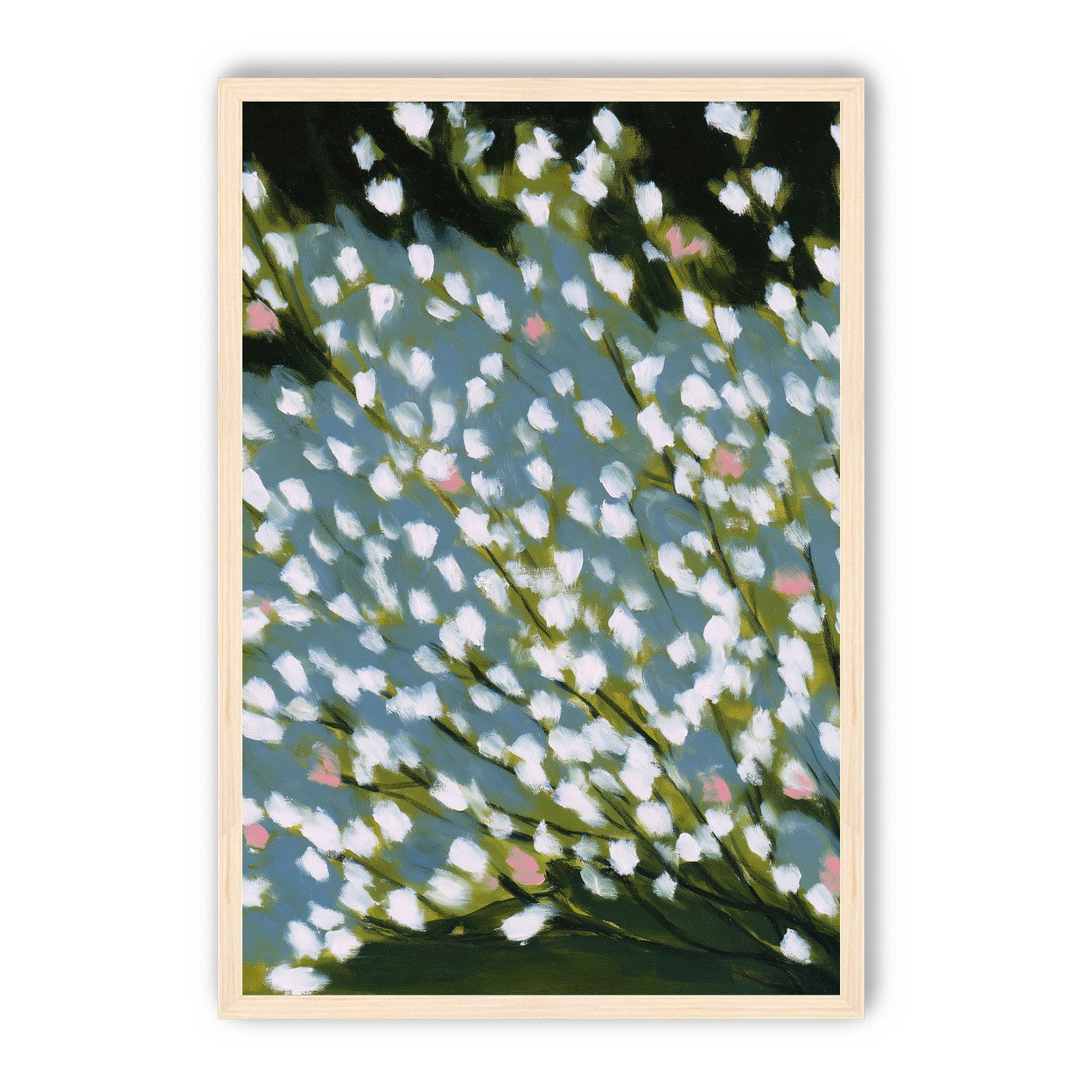 Pink breaks the white field