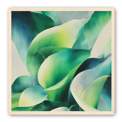 Calla lilies among green shadows
