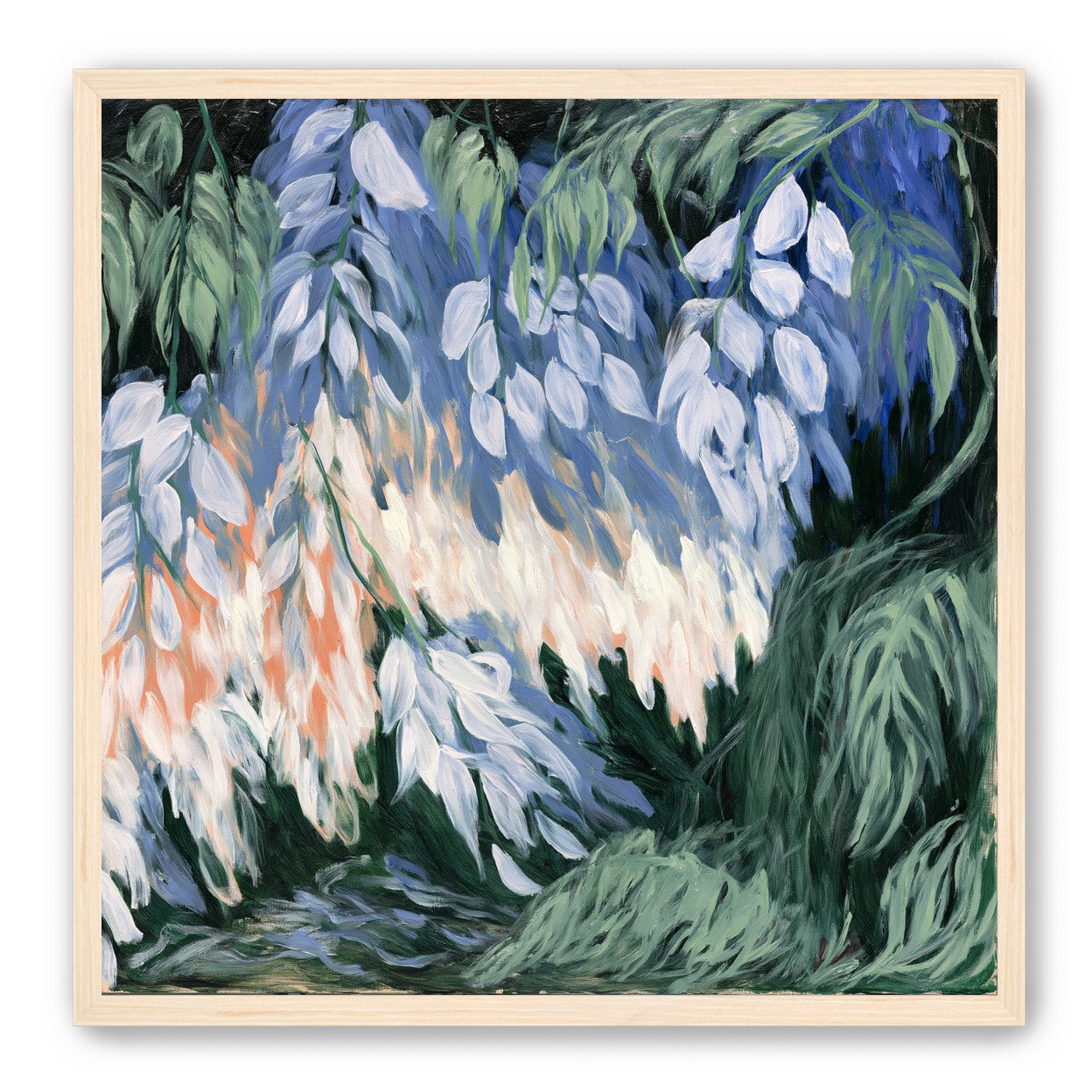 White blossoms in blue shade
