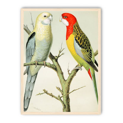 Beaks across the branch