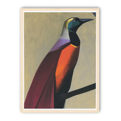 Bright bird on a branch