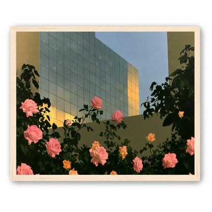 Roses against the glass wall
