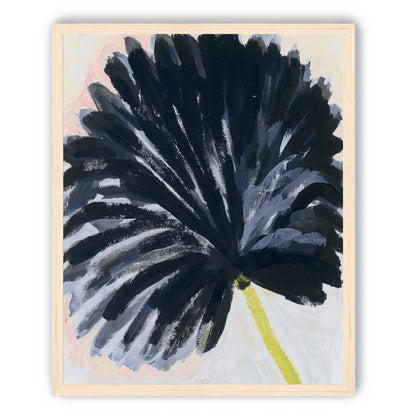 Black petals in pale light