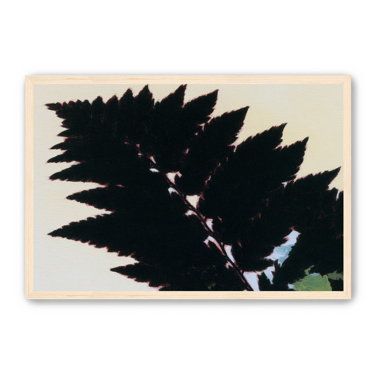 Black leaves on pale ground
