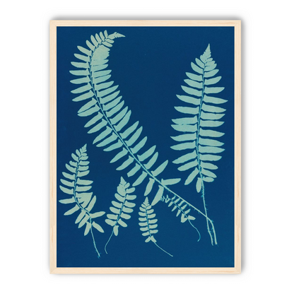 Fern shadows in blue