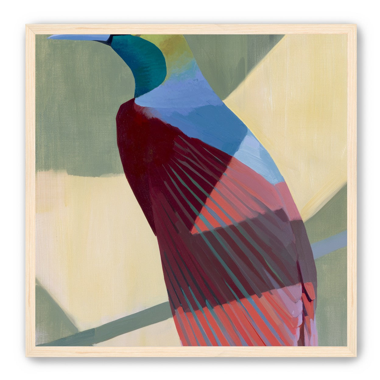 Teal throat on maroon wing