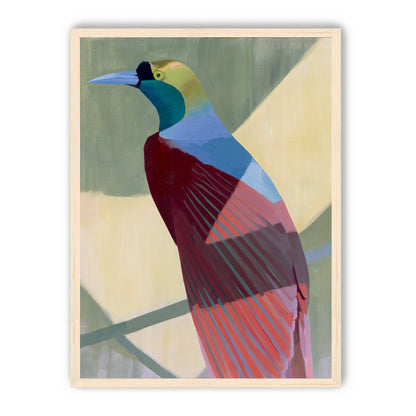 Teal throat on maroon wing