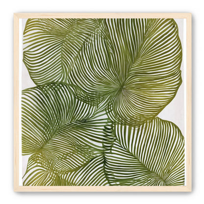 Palm leaves pressed together