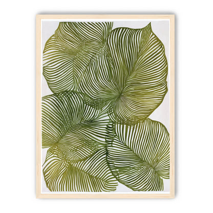 Palm leaves pressed together