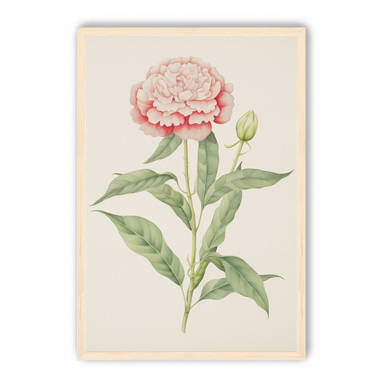 Delicate Blush