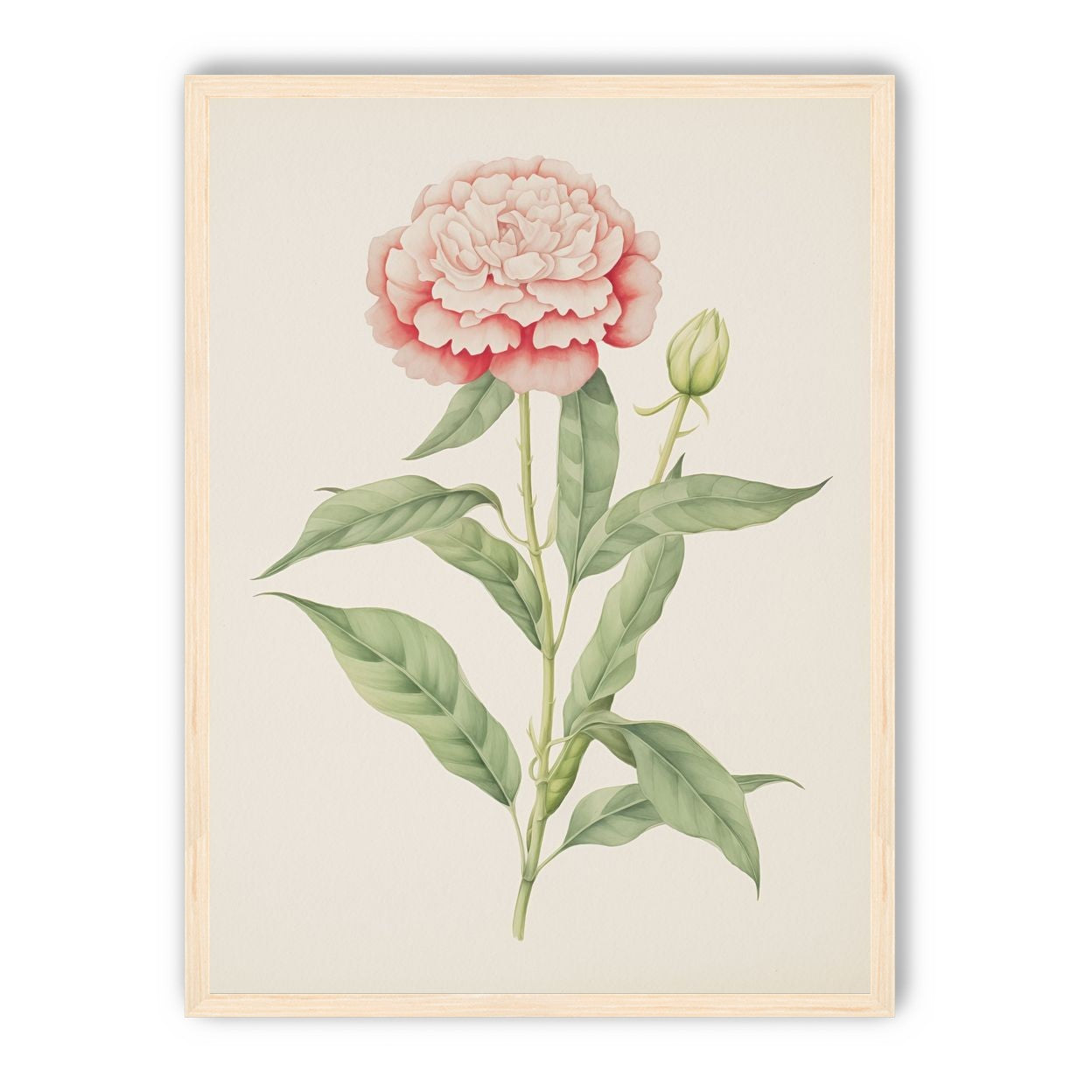 Delicate Blush