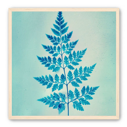 stems and leaves