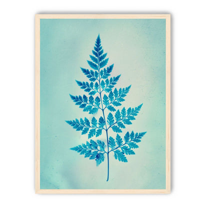 stems and leaves