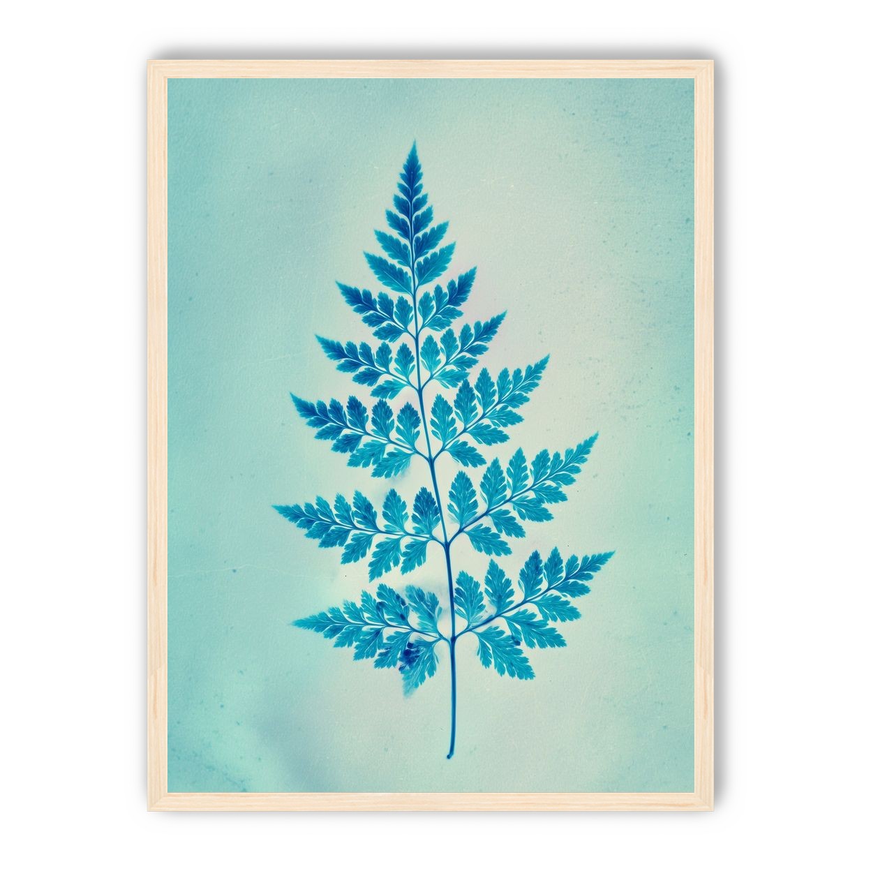 stems and leaves