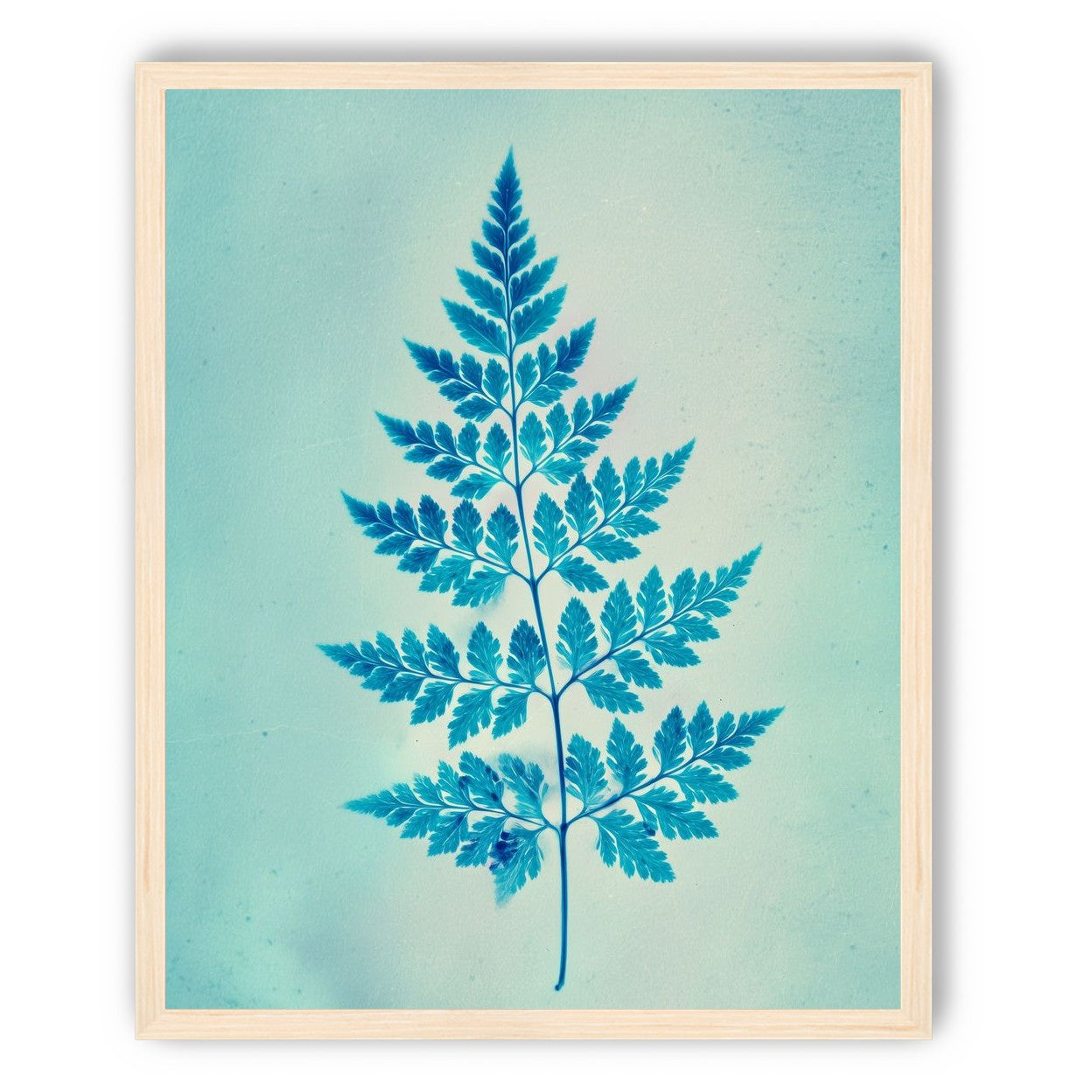 stems and leaves