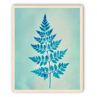 stems and leaves