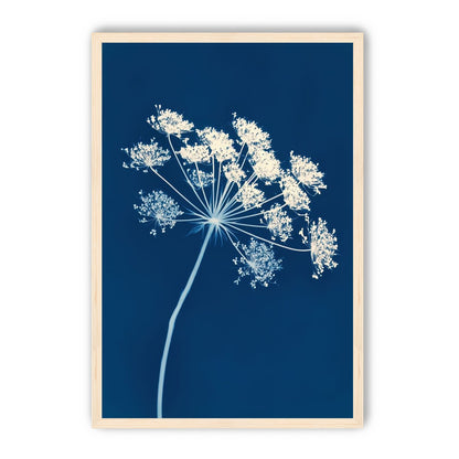 Midnight Bloom