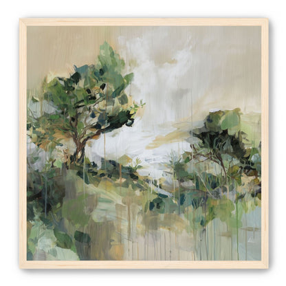 Tree Canopies in Pale Light