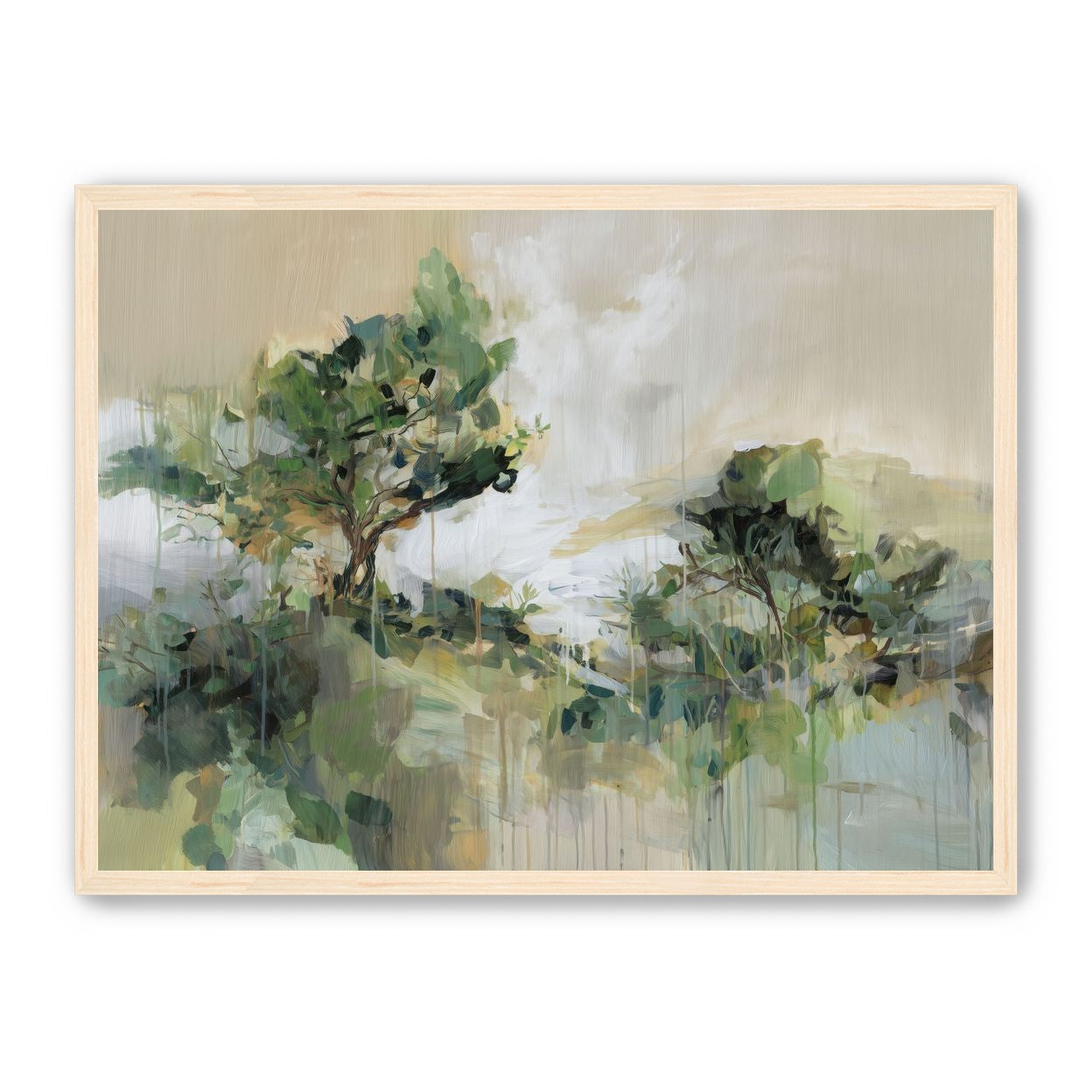 Tree Canopies in Pale Light