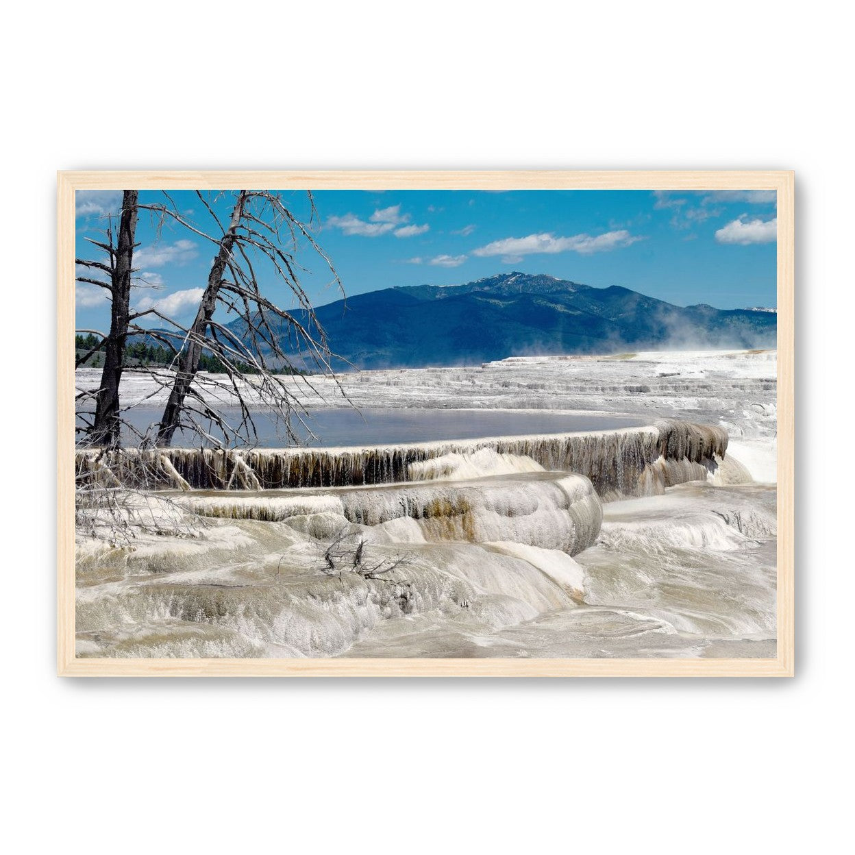 Mammoth Hot Springs