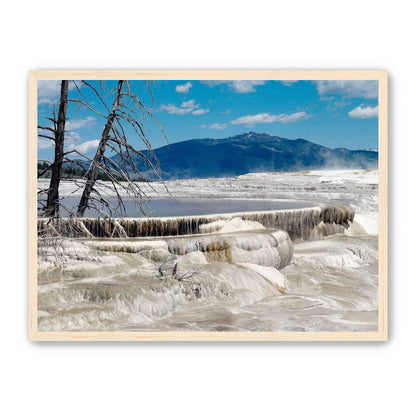 Mammoth Hot Springs