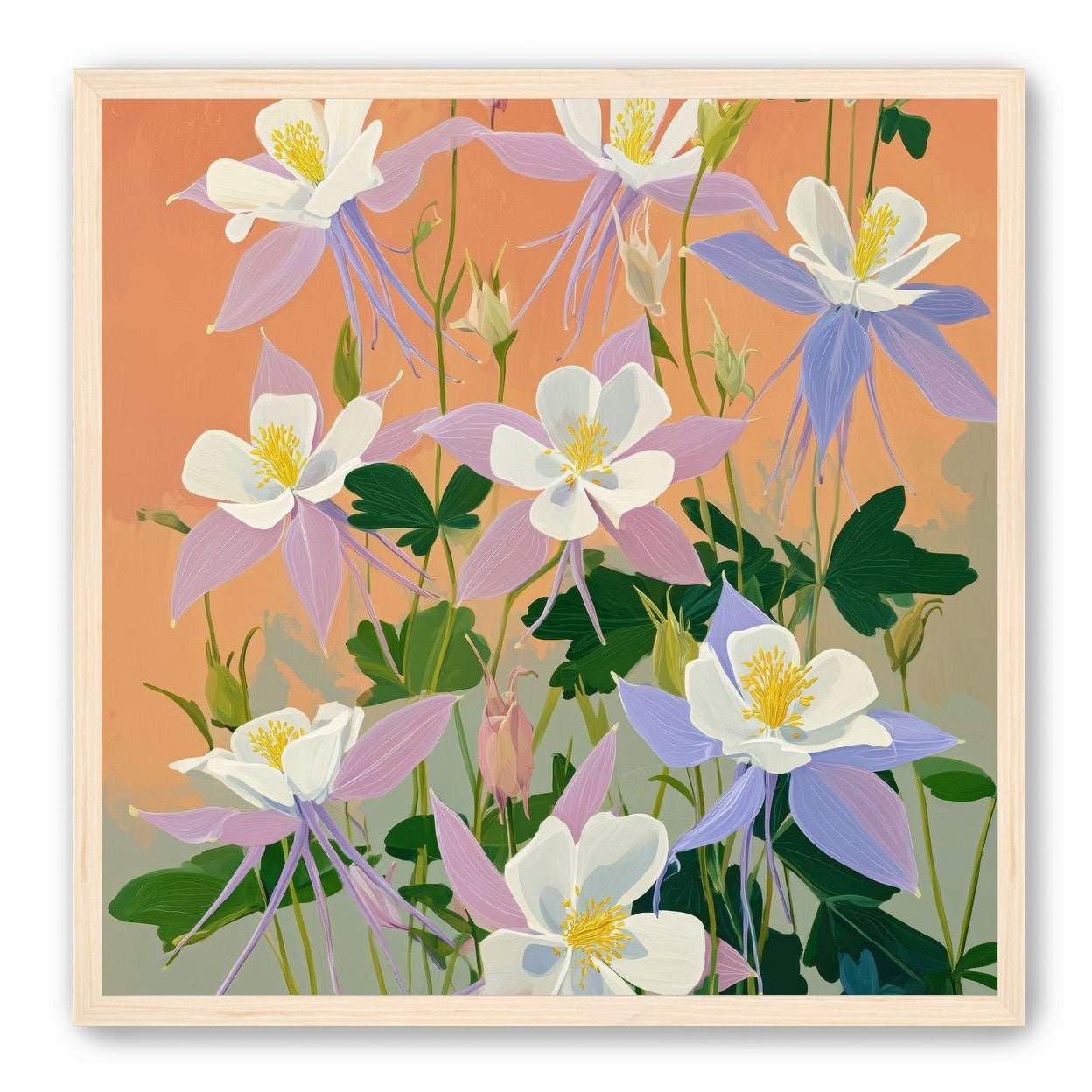 Columbines in Bloom