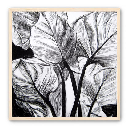 Overlapping Leaves on Dark Ground