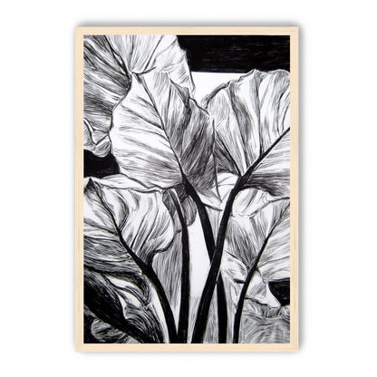 Overlapping Leaves on Dark Ground