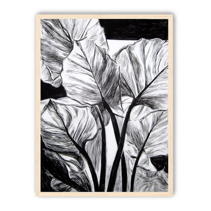 Overlapping Leaves on Dark Ground