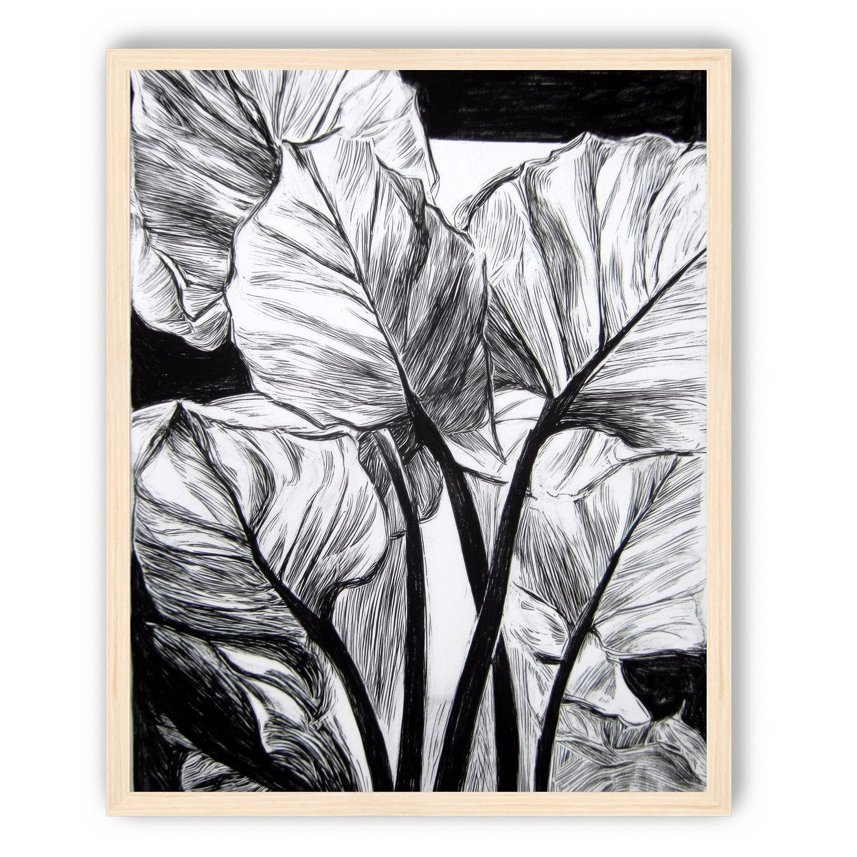 Overlapping Leaves on Dark Ground